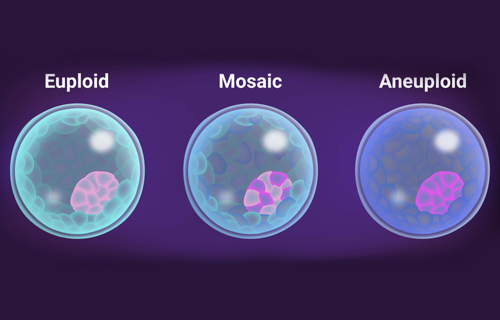 Impatto della tecnica di biopsia embrionale sulla prevalenza di mosaicismo