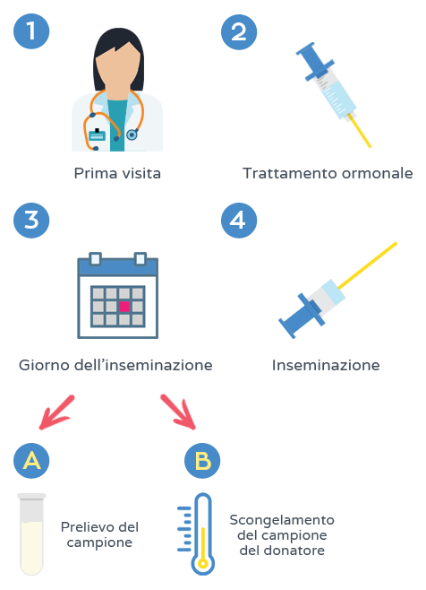 Inseminazione artificiale - Processo
